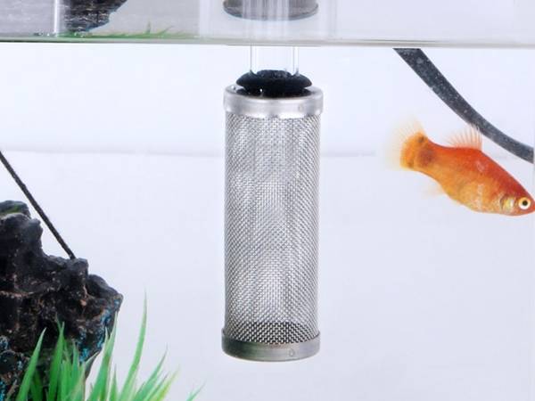 Aquarium filter inlet protector in aquarium