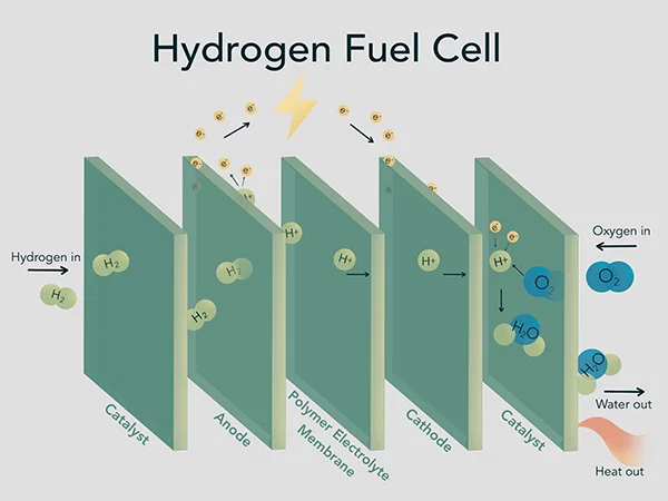 Application of expanded metal mesh in renewable energy