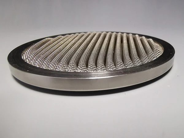 Pleated wire mesh screen with metal frame