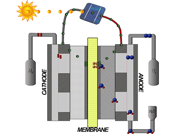 Working principle of PEM electrolyzer