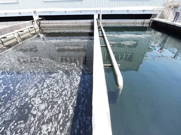 Wedge wire rotary drum screen applied in the papermaking industry